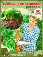 OlLena Garden / Клипсы для прививки растений, прививочные зажимы, для арбуза, дыни, огурцов, 50 шт