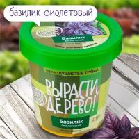 Набор для выращивания растений Базилик фиолетовый Вырасти, Дерево!