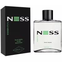 Parfums Evaflor Мужской Ness Essential Туалетная вода (edt) 100мл