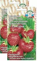 Семена Клубника ремонтантная Сластена F1 15 шт (семян) (СеДеК), 2 пакетика * 15 шт