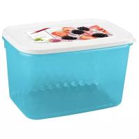 Phibo Контейнер Кристалл для хранения и замораживания продуктов с декором 1,7л