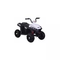 Детский квадроцикл RiverToys T111TT Белый