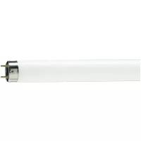 Лампа люминесцентная Philips, MASTER TL-D Food 30W/79 G13, 30Вт, 3800К
