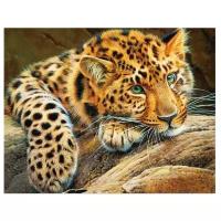 Цветной Набор алмазной вышивки Африканский леопард (LG020) 40х50 см