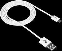 Canyon Кабель Canyon Micro-USB CNE-USBM1W, белый