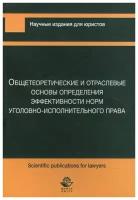 Общетеоретические и отраслевые основы определения эффективности норм уголовно-исполнительного права