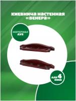 Киевница настенная Венера для 4 киев (дуб махагон)