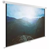 Рулонный матовый белый экран cactus WallExpert CS-PSWE-240x240-WT, 131