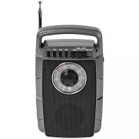 Портативный радиоприемник MAX MR-322 антрацит /Радио с возможностью работа от батареек АА/AM/FM/SW/AUX