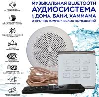 Музыкальная bluetooth аудиосистема для дома, бани, сауны, коммерческого помещения. Белая, встраиваемая с одним влагостойким динамиком. Эко 1