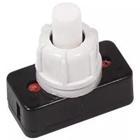 Нажимная кнопка (кнопочный выключатель/переключатель) в сборе REXANT 36-3010