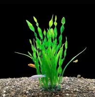 Растения для аквариума и террариумов 25 см