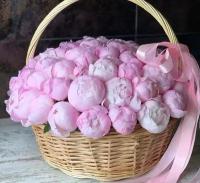 Букет розовые пионы в корзине 51 шт, красивый букет цветов, пионов, шикарный, цветы премиум