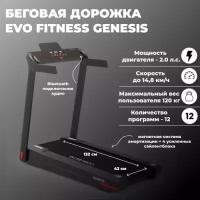 Беговая дорожка Evo Fitness Genesis, черный