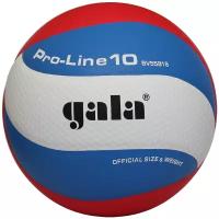 Волейбольный мяч Gala Pro-Line 10 белый/синий/красный