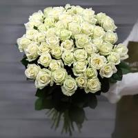 Букет живых цветов из 51 белой розы (Россия) с лентой 50 см