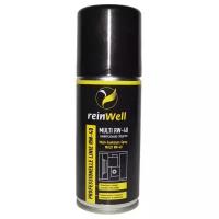 Универсальное средство (смазка проникающая) Reinwell MULTI RW-40 100 мл WD40