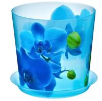 Горшок для цветов / кашпо с поддоном деко Орхидея 1.2л, 12.5x12.5 см, прозрачный/голубой