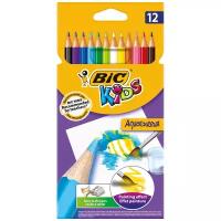 BIC Акварельные карандаши Aquacouleur 12 цветов (8575613)