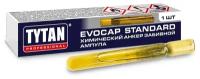 Анкер химический забивной Tytan Professional Evocap Extreme M8/80, ампула