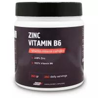 Zinc Vitamin B6 / PROTEIN. COMPANY / Цинк + Витамин B6 / Порошок / 360 порций / 360 грамм / вкус натуральный