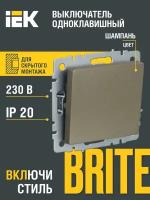 Выключатель IEK BR-V10-0-10 BRITE, 10 А, с защитной шторкой