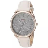 Наручные часы FOSSIL ES4421