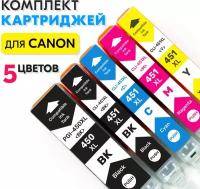 Комплект картриджей PGI-450/CLI-451 XL 5 цветов, для Canon PIXMA-MX924, MG5440, 5540, 5640, 6340, 6440, 6640, 7140, 7540, iX6840 совместимые Inkmaster