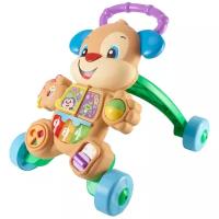 Каталка-ходунки Fisher-Price Ученый Щенок FRC93, бежевый/зеленый/голубой