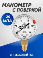 Манометр с поверкой 25,0 МПа углекислый газ