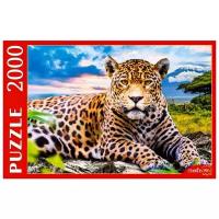 Пазл Рыжий кот Большой леопард (ПИ2000-3698), 2000 дет., разноцветный