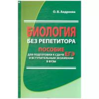 Андреева Ольга Владимировна 