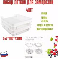 Набор лотков 4 шт для заморозки продуктов прямоугольный, лотки для заморозки овощей, грибов, ягод, полуфабрикатов, пельменей, зелени