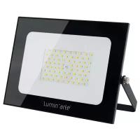 Прожектор светодиодный Lumin'Arte LFL-100W/05
