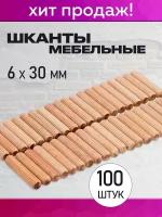 Шкант мебельный 6x30 мм, 100 штук