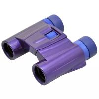 Бинокль Kenko UltraVIEW 8x21 Pastel фиолетовый