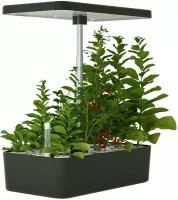 Экоферма для выращивания растений Xiaomi Shenpu Indoor Hydroponik Smart Garden Black (SP-SG18)