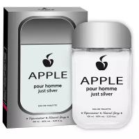 Apple Parfums/Туалетная вода мужская Apple Homme Just Silver, 100 мл/Парфюм мужской