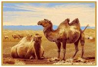 Ковер Erdenet HUNNU сувенирный 6S873-82 верблюды