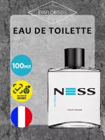 Parfums Evaflor Мужской Ness Extreme Туалетная вода (edt) 100мл