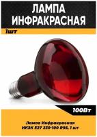 Инфракрасная лампа для курятника цыплят птиц животных 100W цоколь E27, 1 шт / Инфракрасная лампа для обогрева