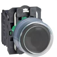 Нажимная кнопка (кнопочный выключатель/переключатель) в сборе Schneider Electric XB5AP21