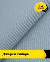 Ткань для шитья и рукоделия Джерси Хилари 1 м * 150 см, голубой 016