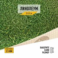 ЛинолеумGrass 025