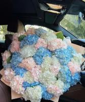 Букет Гортензия ассорти 51 шт, красивый букет цветов, шикарный, цветы премиум