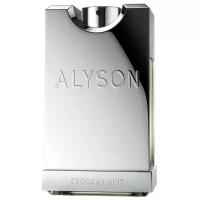 туалетные духи Alyson Oldoini Chocman Mint 100 мл