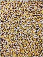 Соя натуральная, Цельное необработанное зерно, Корм для сельскохозяйственных животных и птиц 1 кг