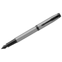 PARKER ручка перьевая IM Achromatic F, 2127619, 1 шт