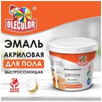 Краска для пола акриловая OLECOLOR Серый туман 1 кг