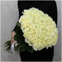Цветы живые букет из 51 белой розы Аваланч 70 см с атласной лентой
